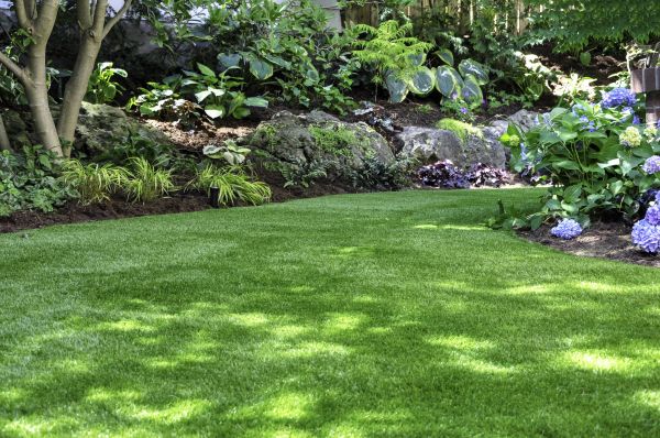 Lawn And Turf Care