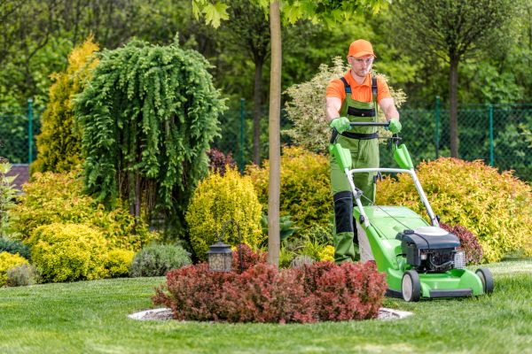Lawn And Shrub Care