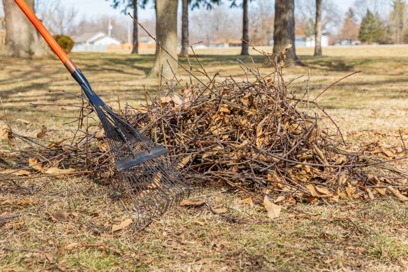 Brush Cleaning Service in Honolulu, HI