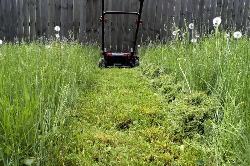 Brush Mowing Service in Calvert County, MD