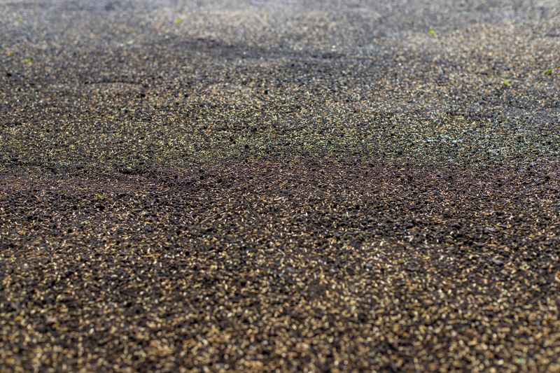 Commercial Grass Seeding in Ventura County, CA