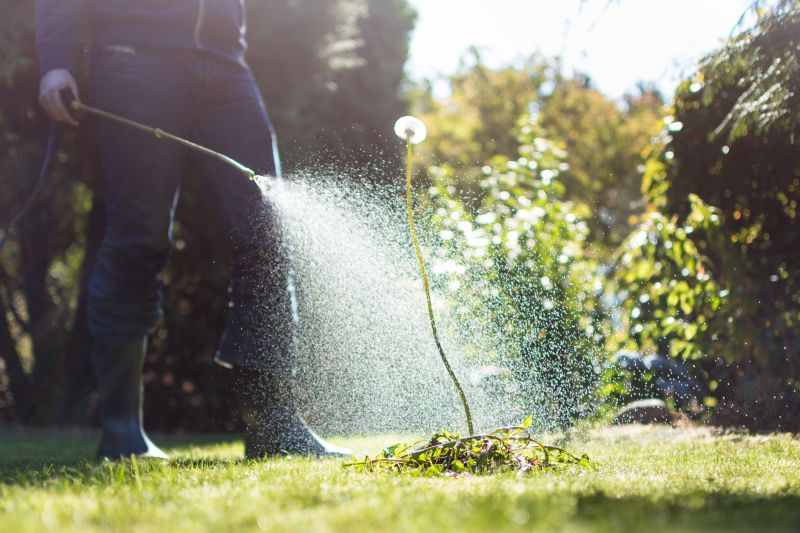Crabgrass Removal in Rockwall, TX