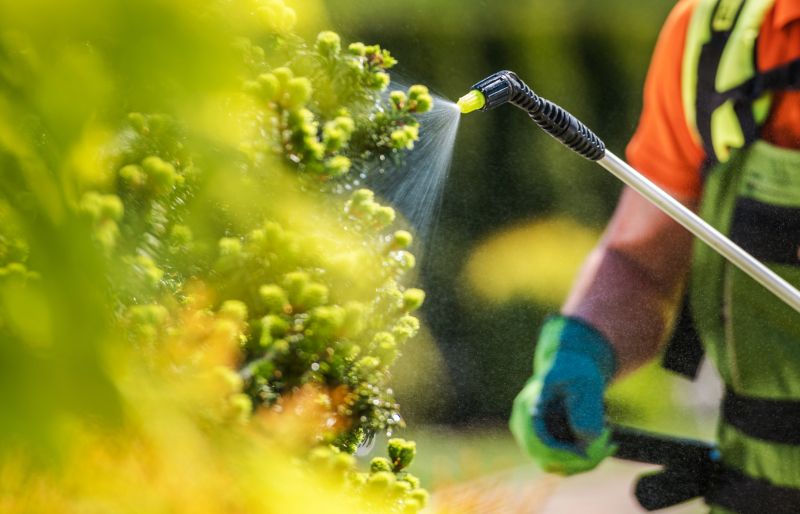 Lawn Herbicide Treatment in Aiken, SC