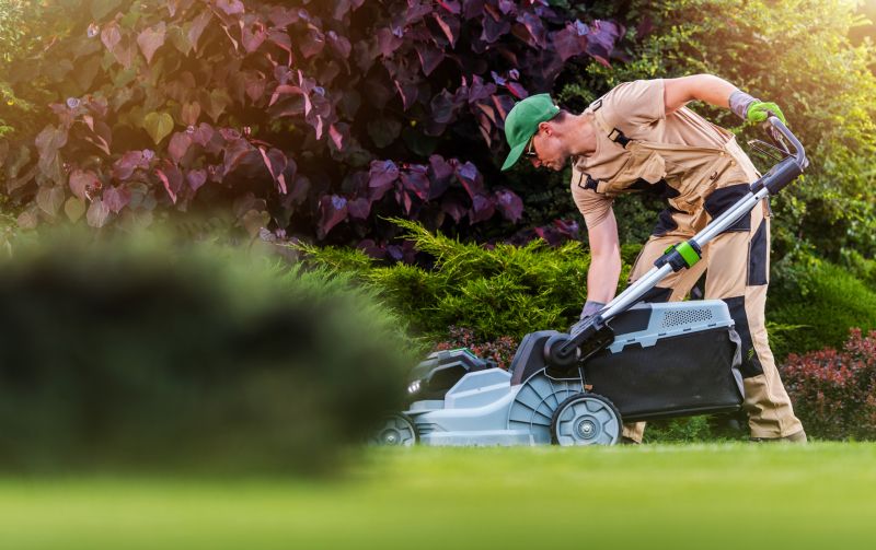 Seasonal Lawn Care in Bowie, MD