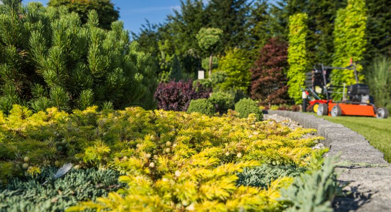 Summer Lawn Care in Bowie, MD