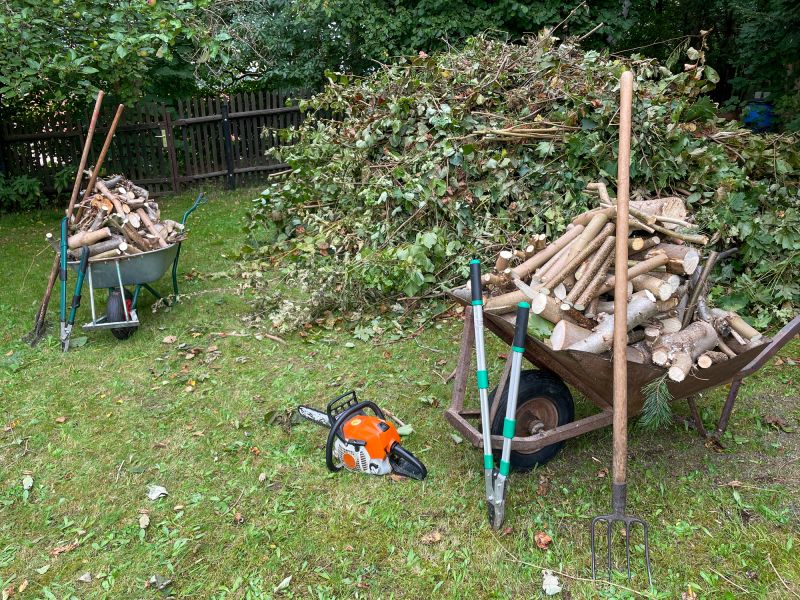 Tree Branches Removal in Honolulu, HI