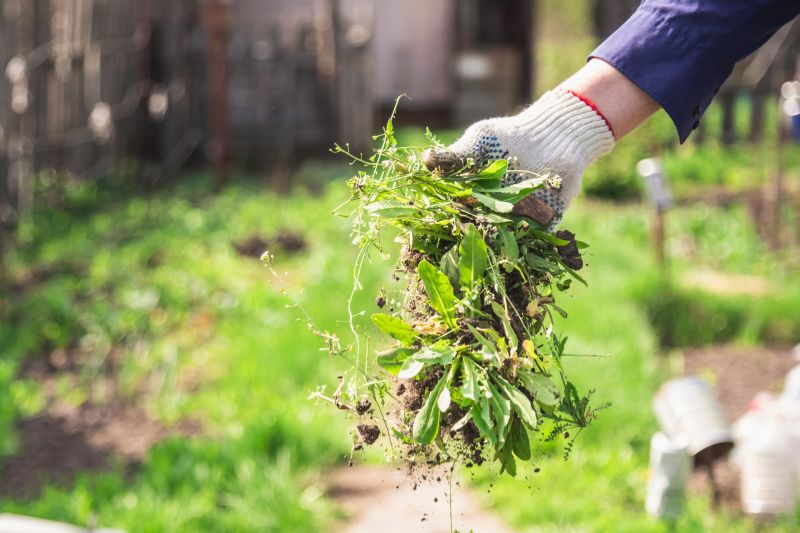 Weeding Service in Rockwall, TX