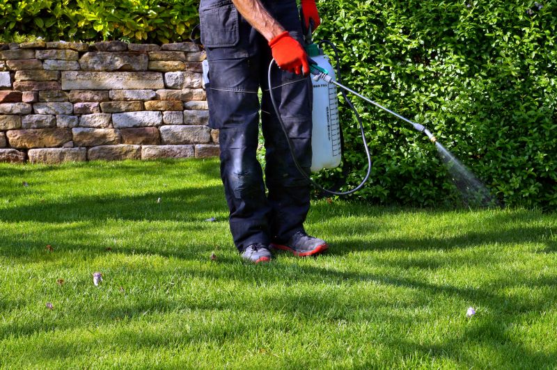Preventative Yard Maintenance