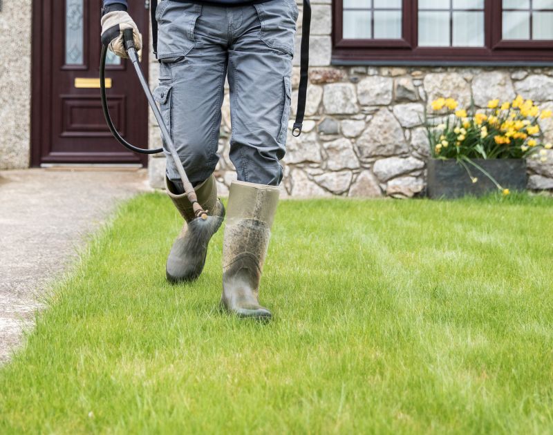 Yard Care Maintenance